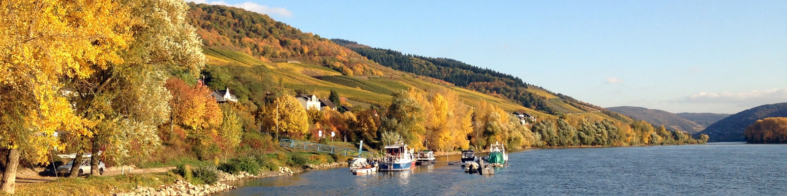 Herbst im Welterbe Mittelrheintal I Lorch am Rhein, Richtung Südost