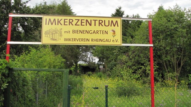 Read more about the article Imker sorgen für Ernährung und Landschaftspflege